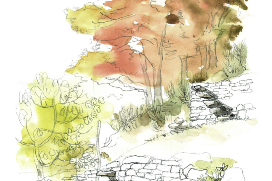 Acquarelli per Corippo