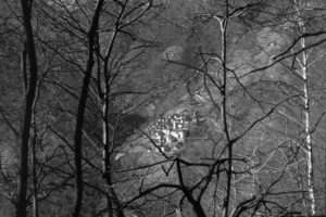 Corippo nell’obiettivo del fotografo Brioschi