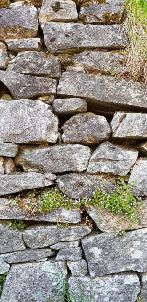 Posa anche tu  una pietra per Corippo