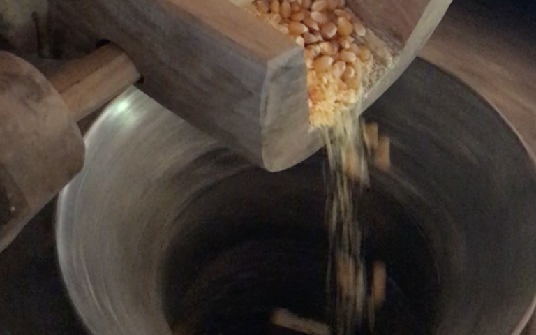 Le vieux moulin de Corippo reprend vie !