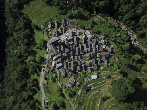 Ecosistemi e Paesaggi in mutamento (evoluzione, transizioni, adattamento)